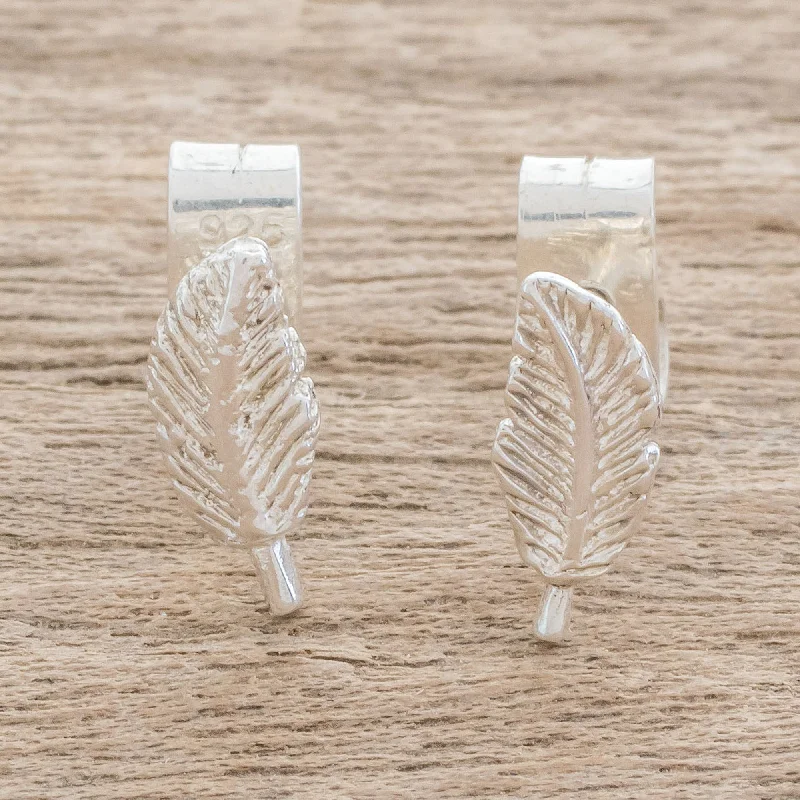 delicate gold earrings for women -Amazing Leaves Feather-Shaped Sterling Silver Stud Earrings from Guatemala